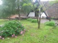/album/a-vendeghaz/img-4426-jpg/